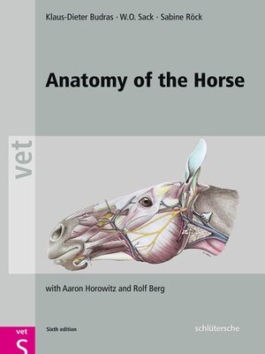 cover image of Anatomy of the Horse